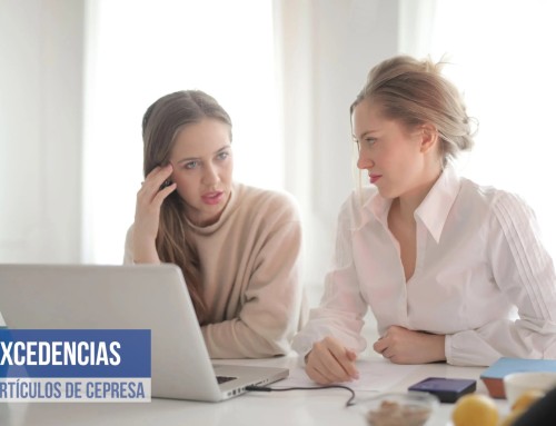 Excedencias. Tipos, características y conflictividad. Una sentencia